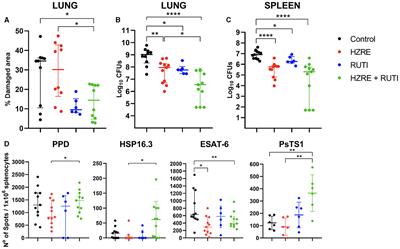 Efficacy of RUTI® immunotherapy against active tuberculosis in a mouse model challenges the Koch phenomenon